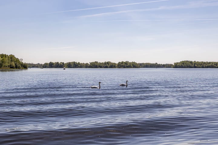 Foto 2 van D.H.A.C. Hammarskjöldstraat 61