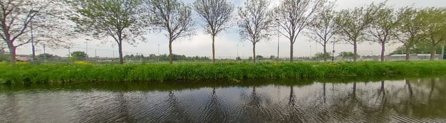 Achtertuin