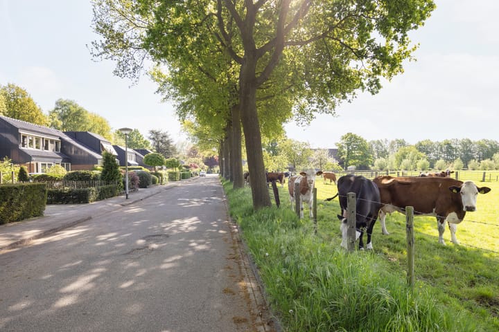 Foto 53 van Planetenlaan 39