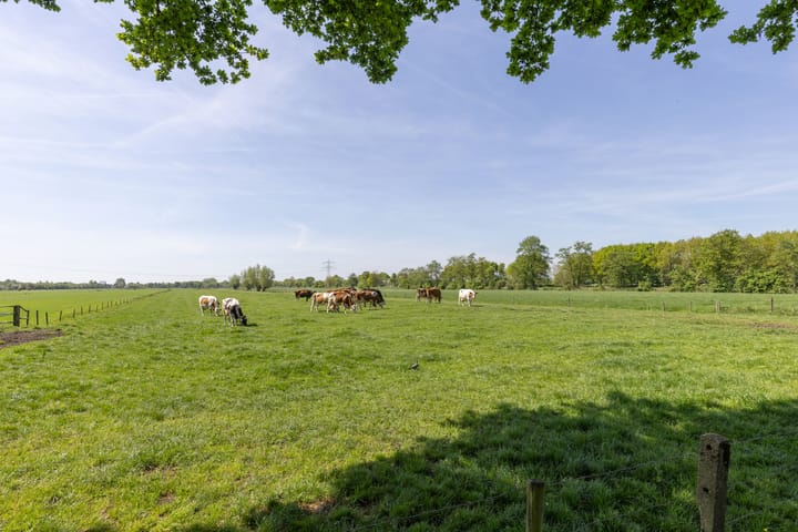 Foto 54 van Planetenlaan 39