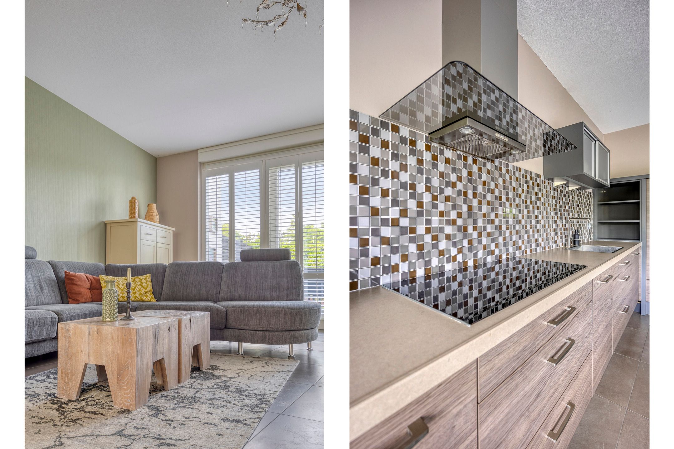 Foto 9 van Strandkrab 42