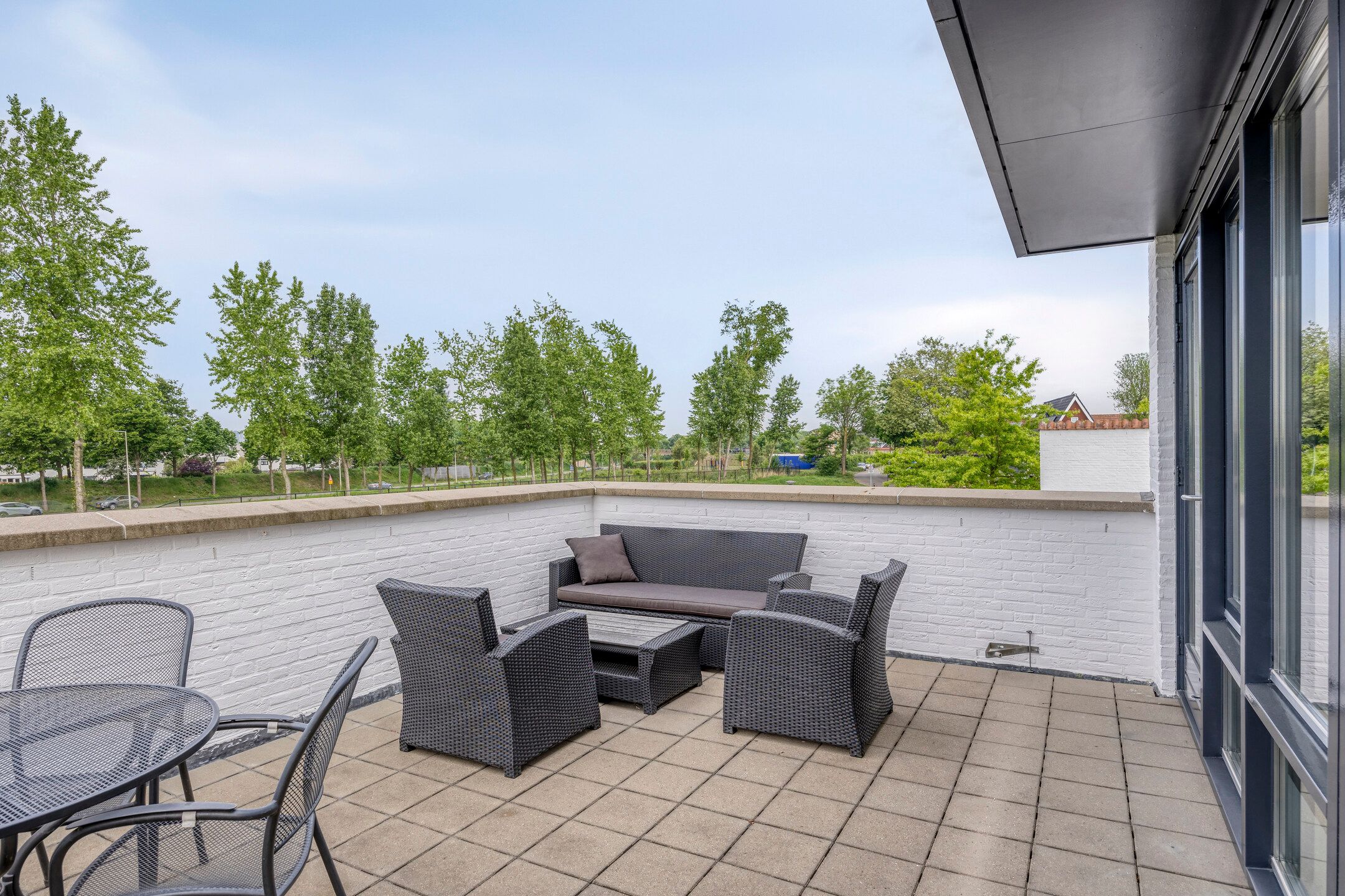 Foto 30 van Strandkrab 42