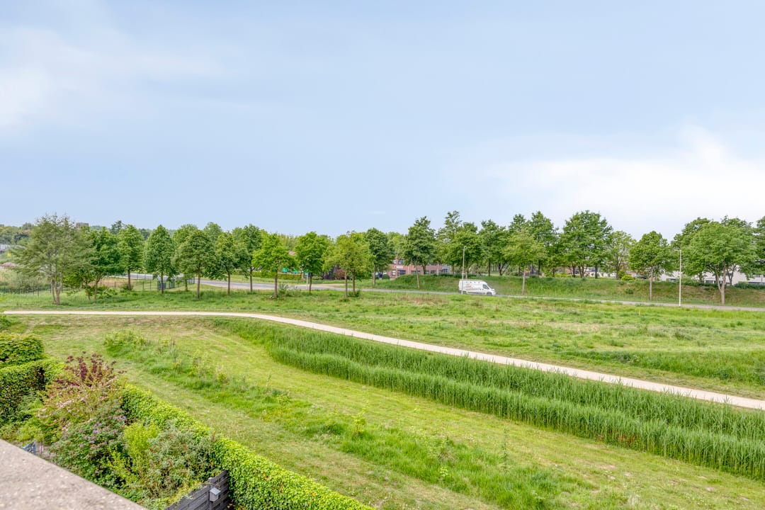 Foto 31 van Strandkrab 42