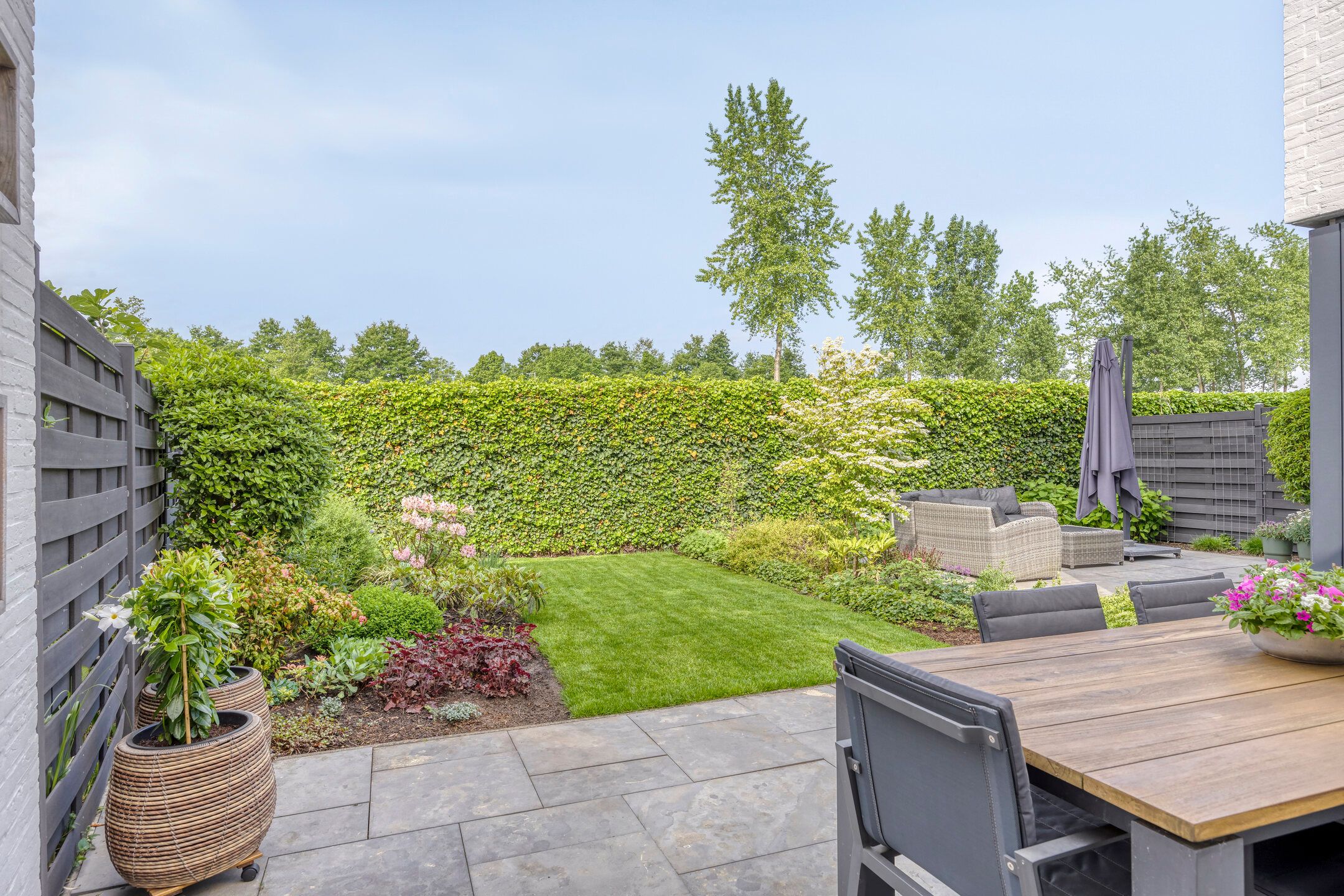 Foto 36 van Strandkrab 42