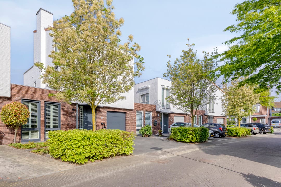 Foto 37 van Strandkrab 42