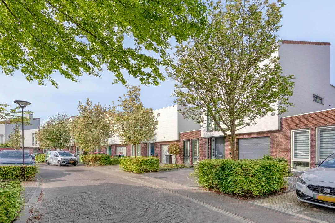 Foto 38 van Strandkrab 42