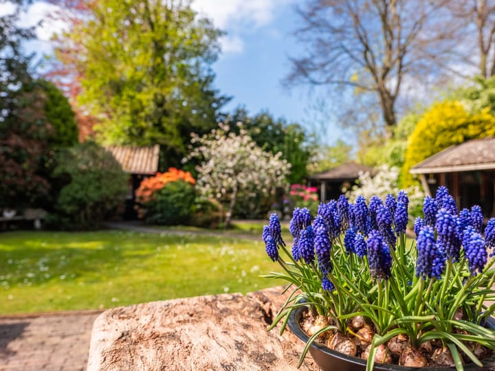 Foto 31 van Slotlaan 8