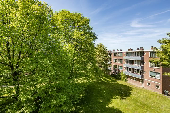 Foto 31 van Schutkenstraat 19