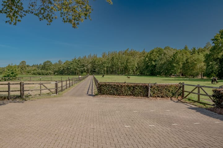 Foto 3 van Busselterweg 16