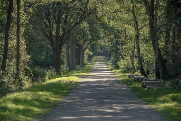 Foto 52 van Busselterweg 16