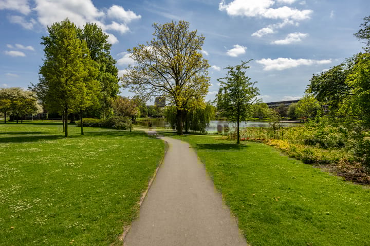 Foto 54 van Korreweg 213-53