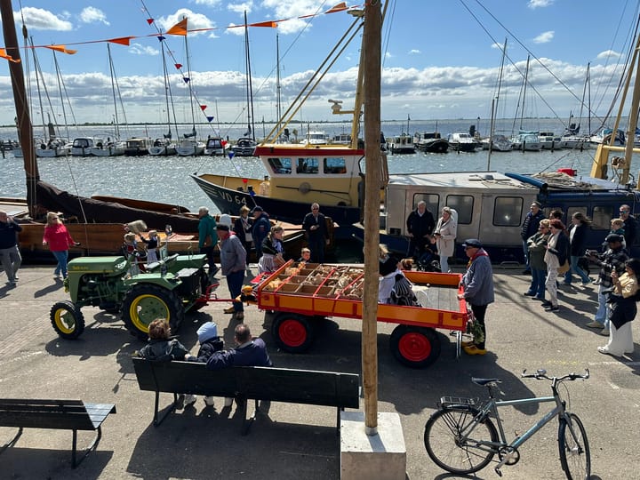 Foto 11 van Haven 54