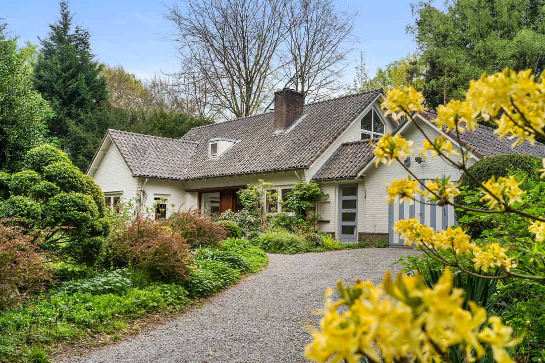 Foto 1 van Hollandseweg 356