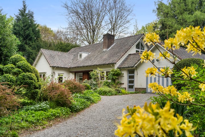 Foto 1 van Hollandseweg 356