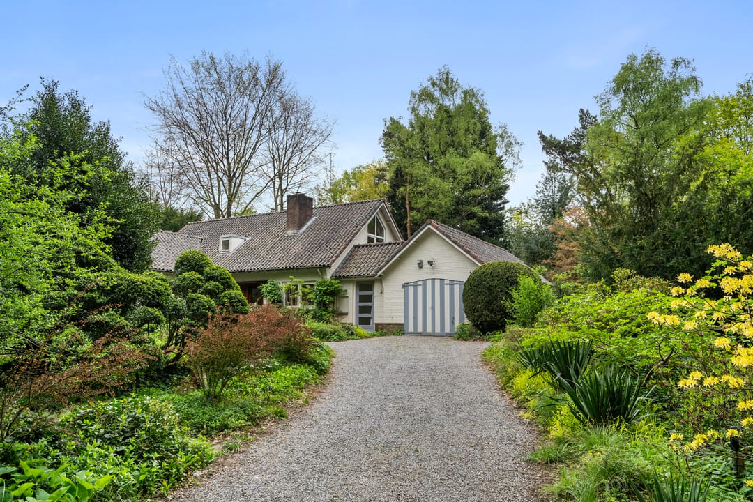 Foto 7 van Hollandseweg 356