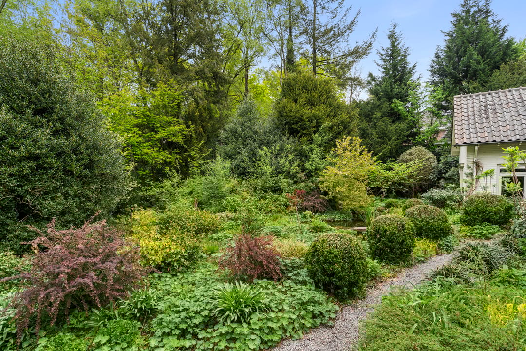 Foto 8 van Hollandseweg 356