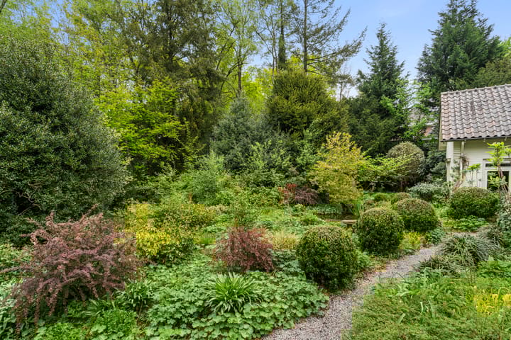 Foto 8 van Hollandseweg 356