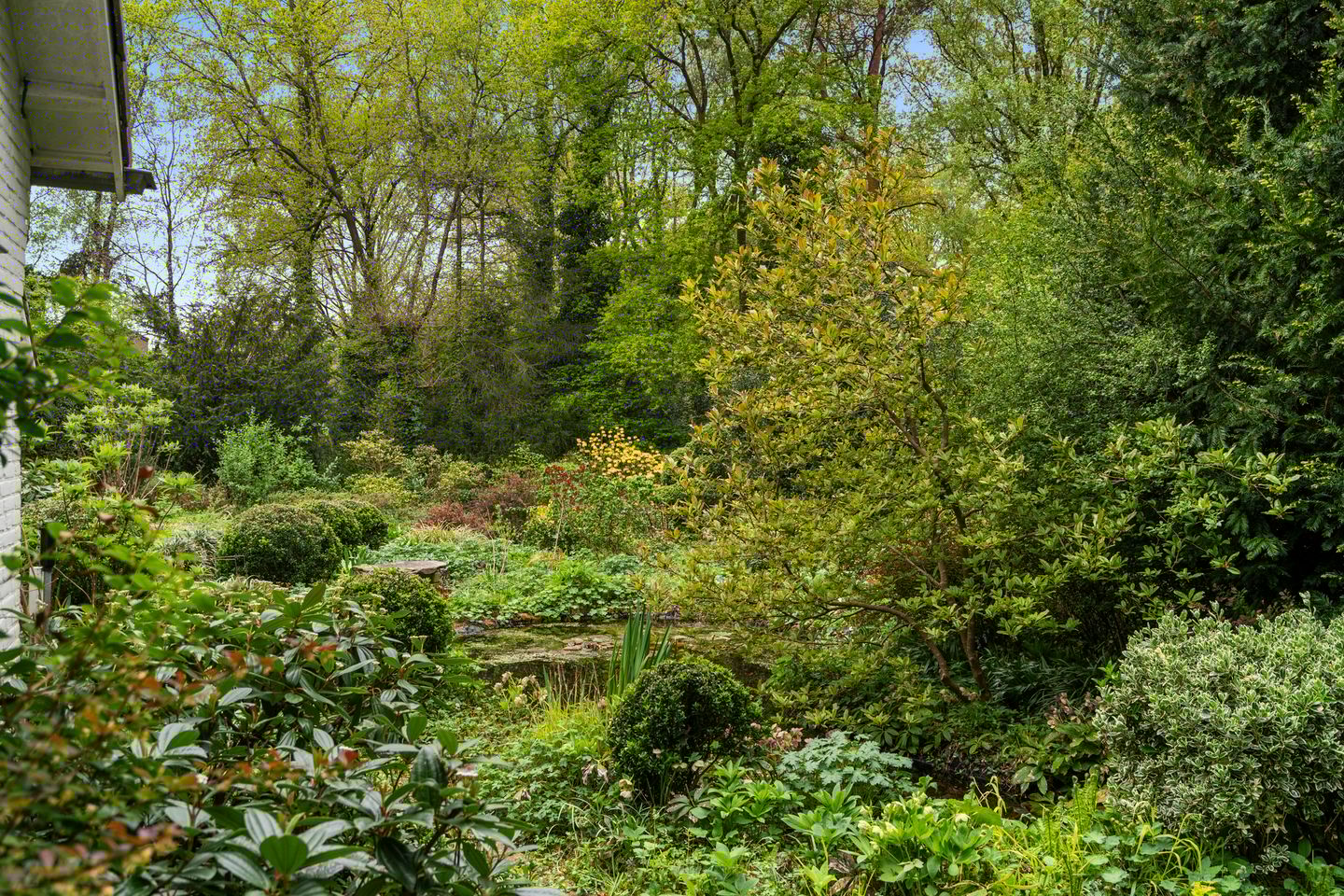 Foto 10 van Hollandseweg 356