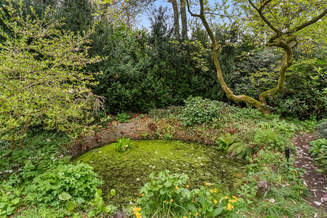 Foto 11 van Hollandseweg 356