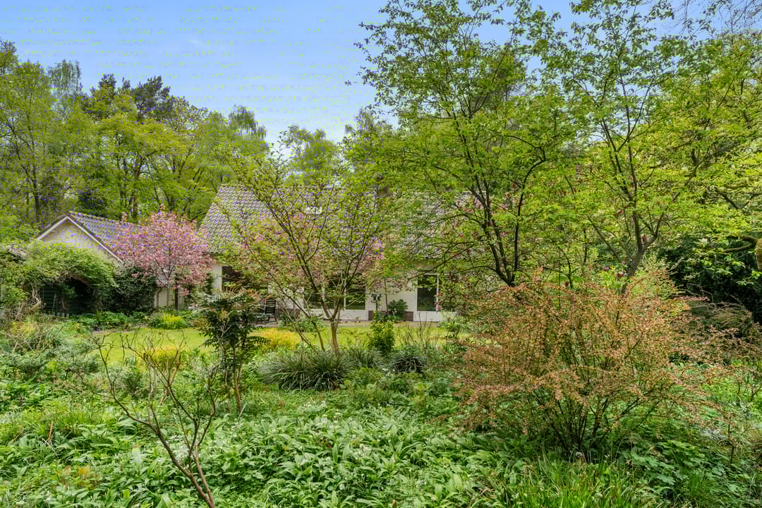 Foto 16 van Hollandseweg 356