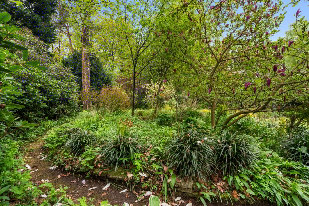 Foto 17 van Hollandseweg 356