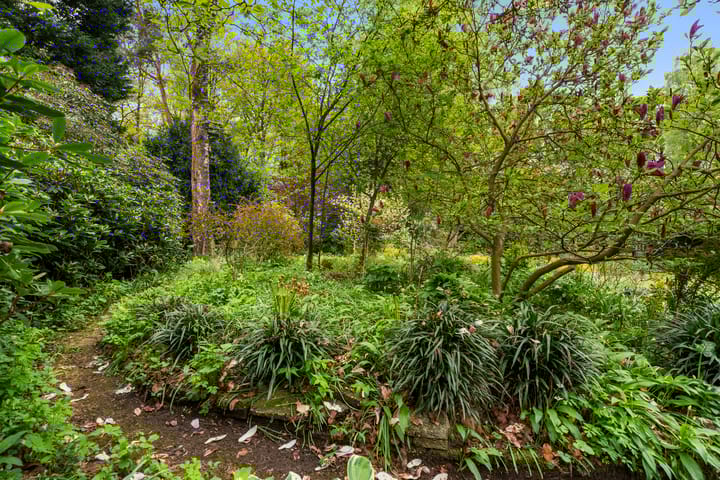 Foto 17 van Hollandseweg 356