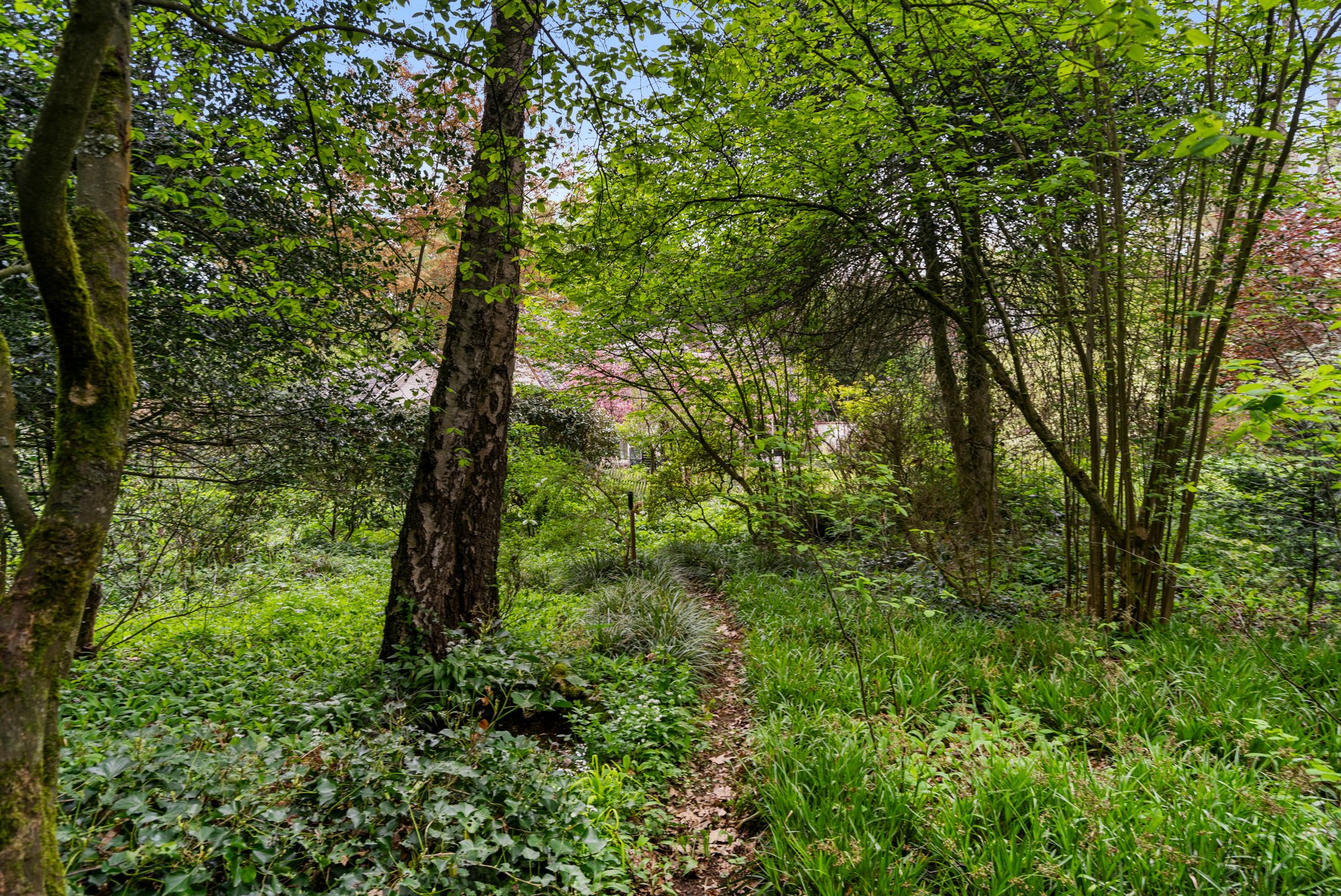 Foto 18 van Hollandseweg 356