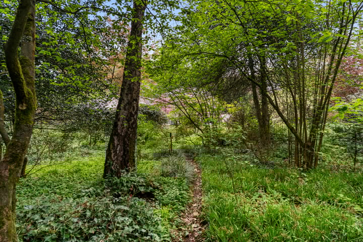 Foto 18 van Hollandseweg 356