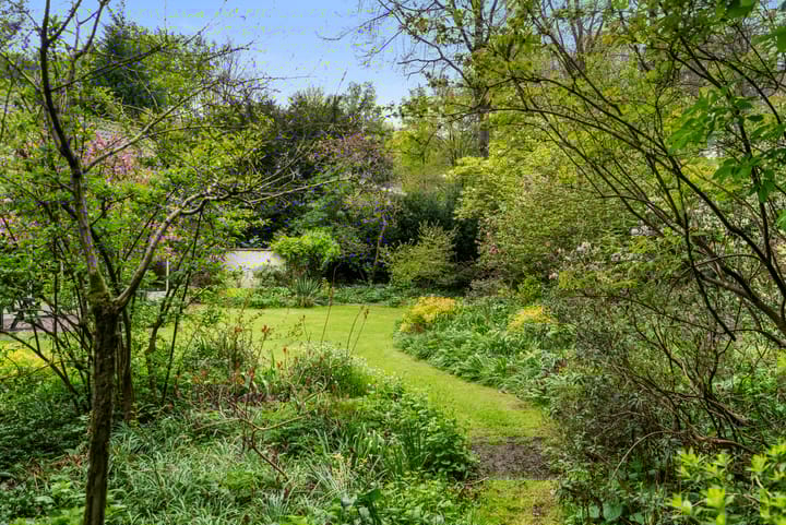 Foto 19 van Hollandseweg 356