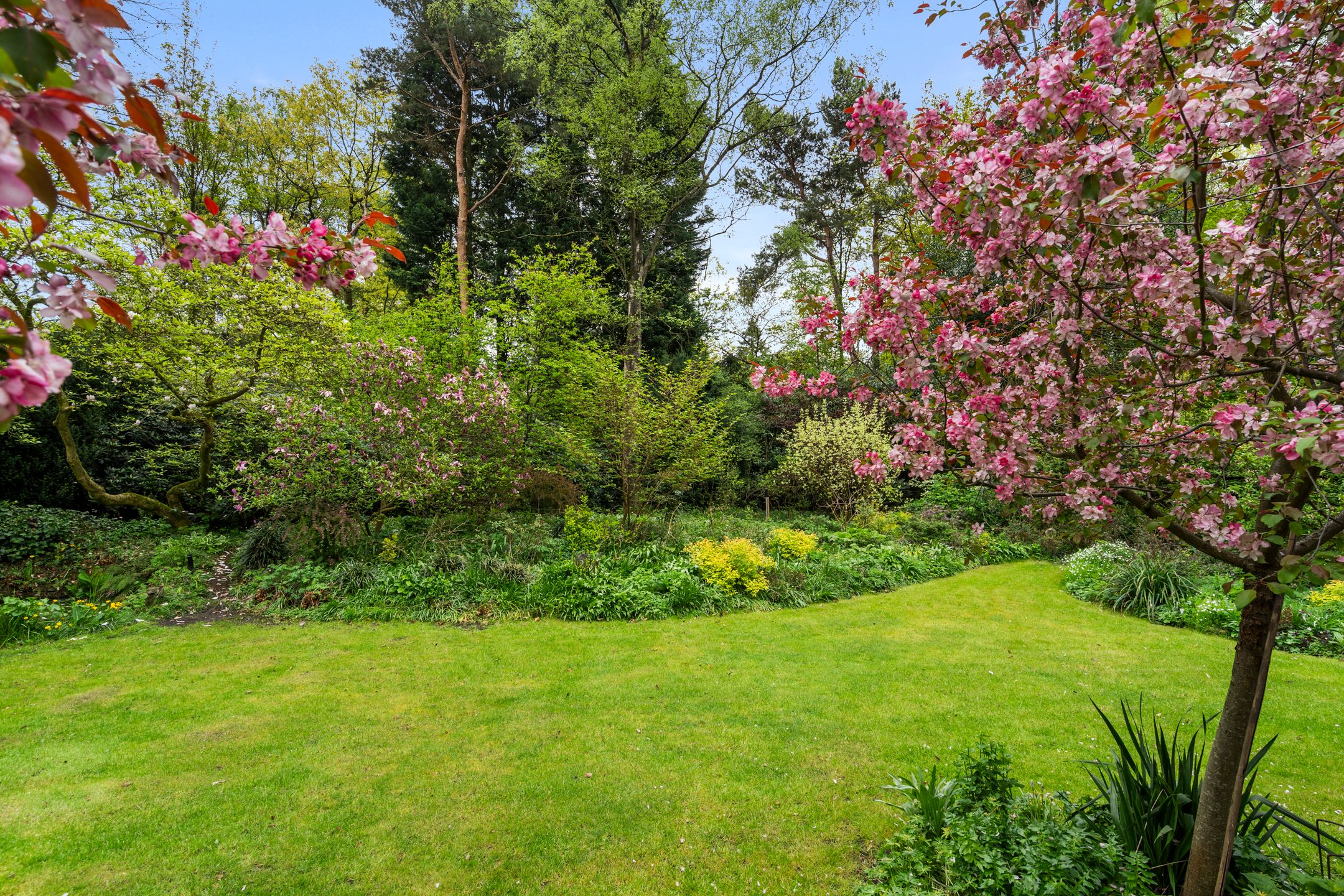 Foto 21 van Hollandseweg 356