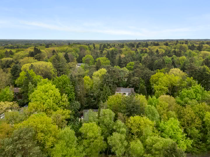 Foto 40 van Hollandseweg 356