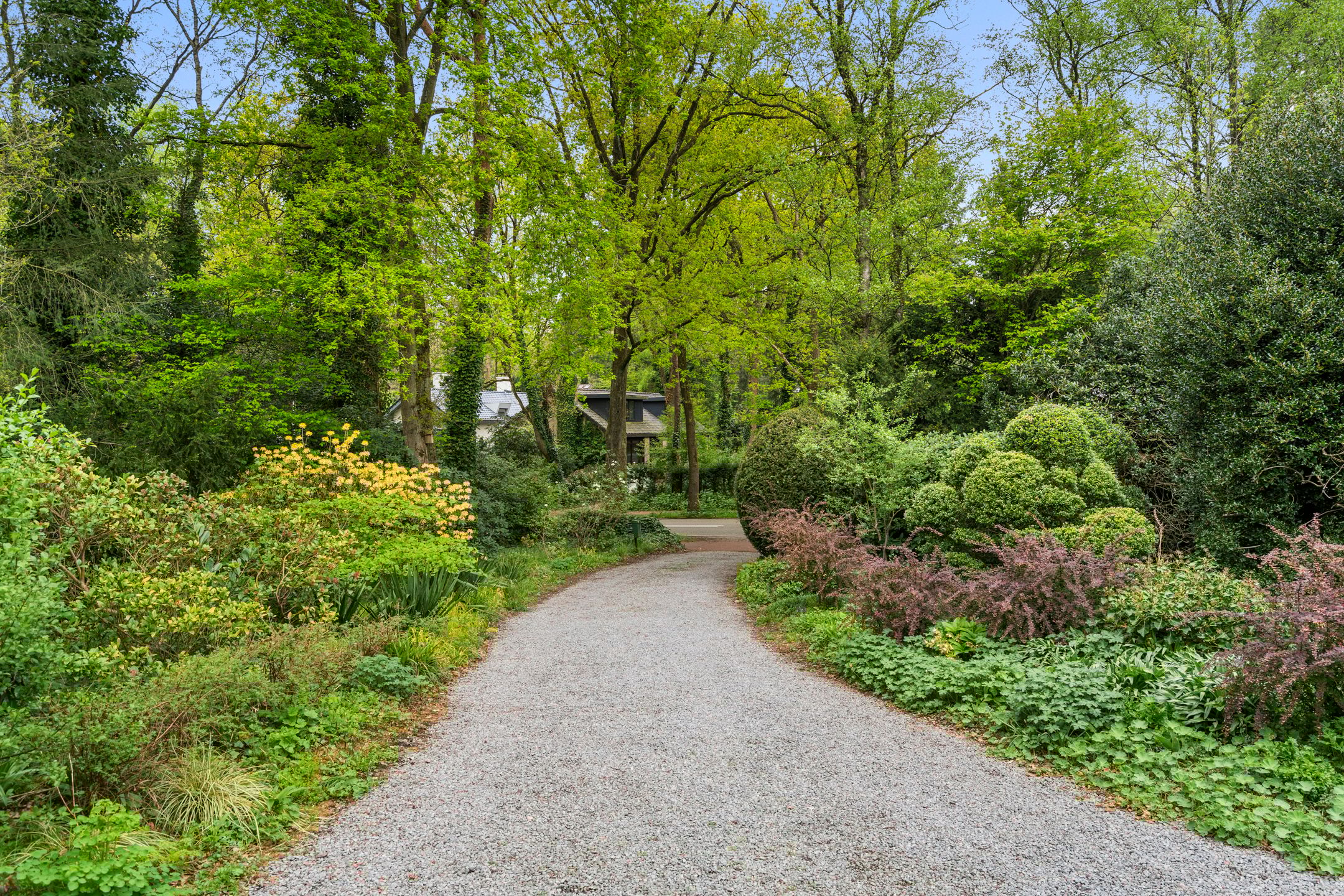 Foto 45 van Hollandseweg 356