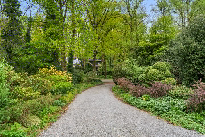 Foto 45 van Hollandseweg 356