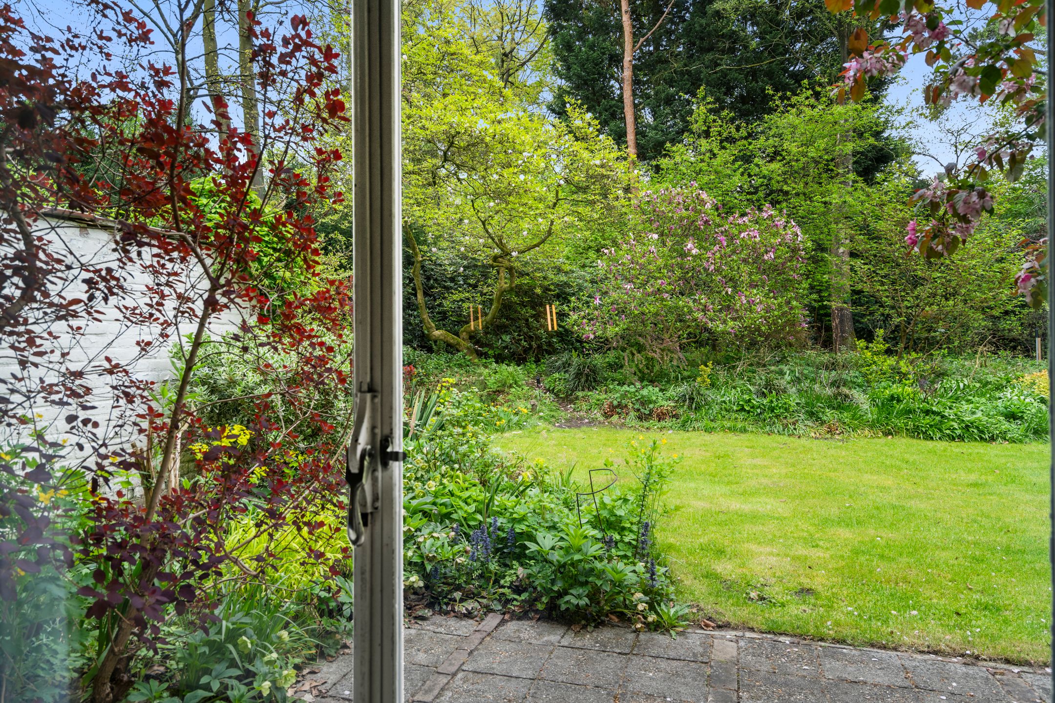 Foto 60 van Hollandseweg 356