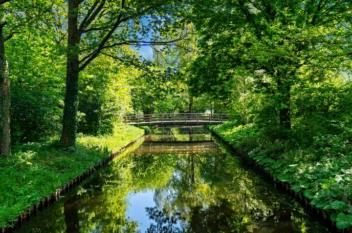 Foto 40 van Laan van Ouderzorg 92