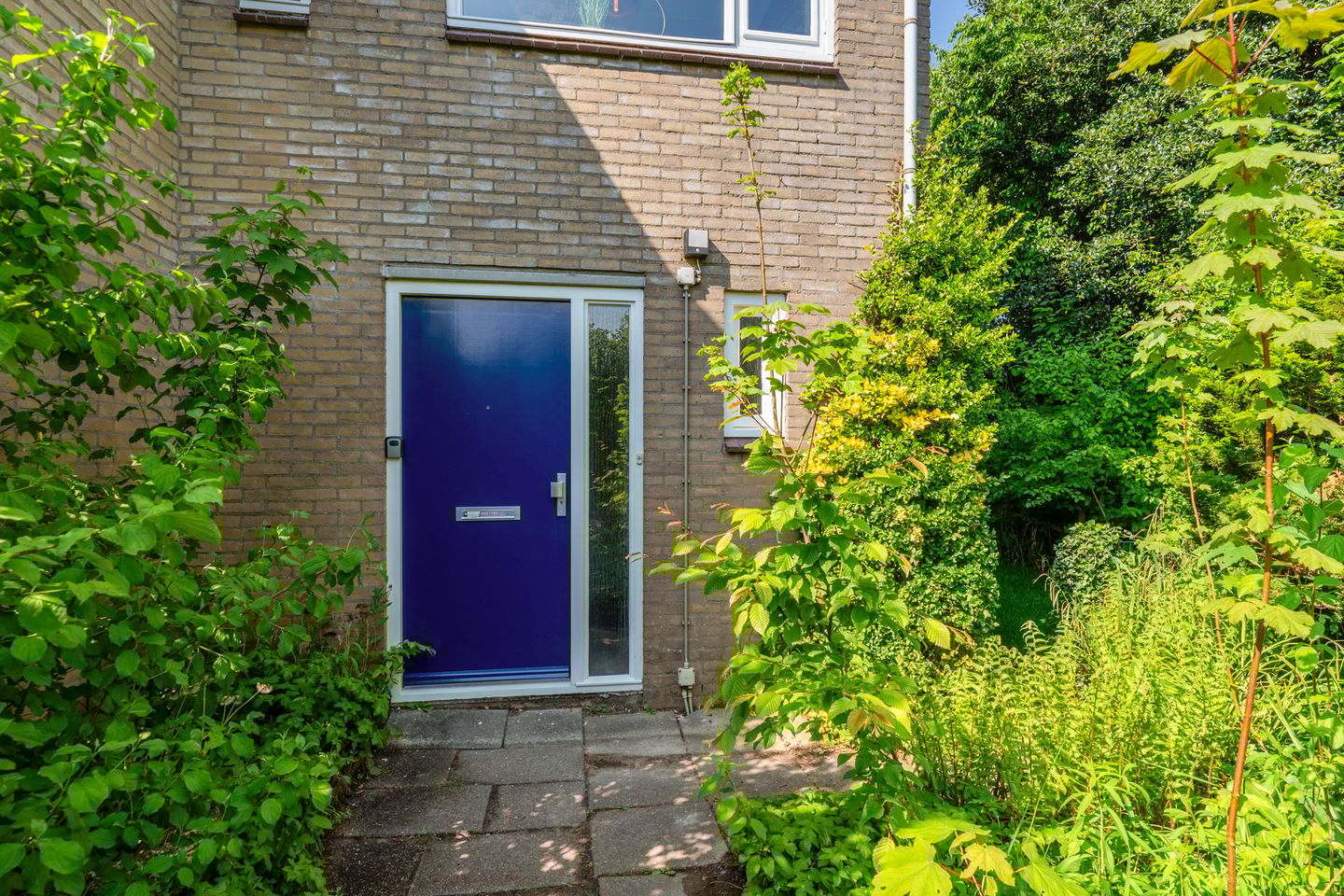 Photo 5 of Kogge 09 7