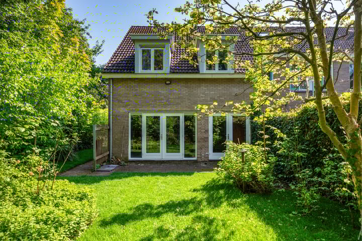 Foto 29 van Kogge 09 7