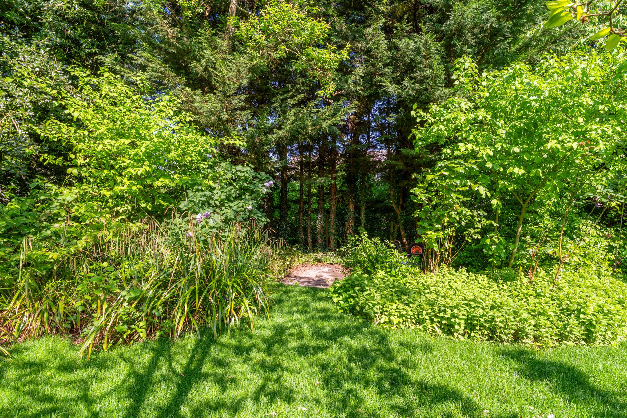 Photo 33 of Kogge 09 7