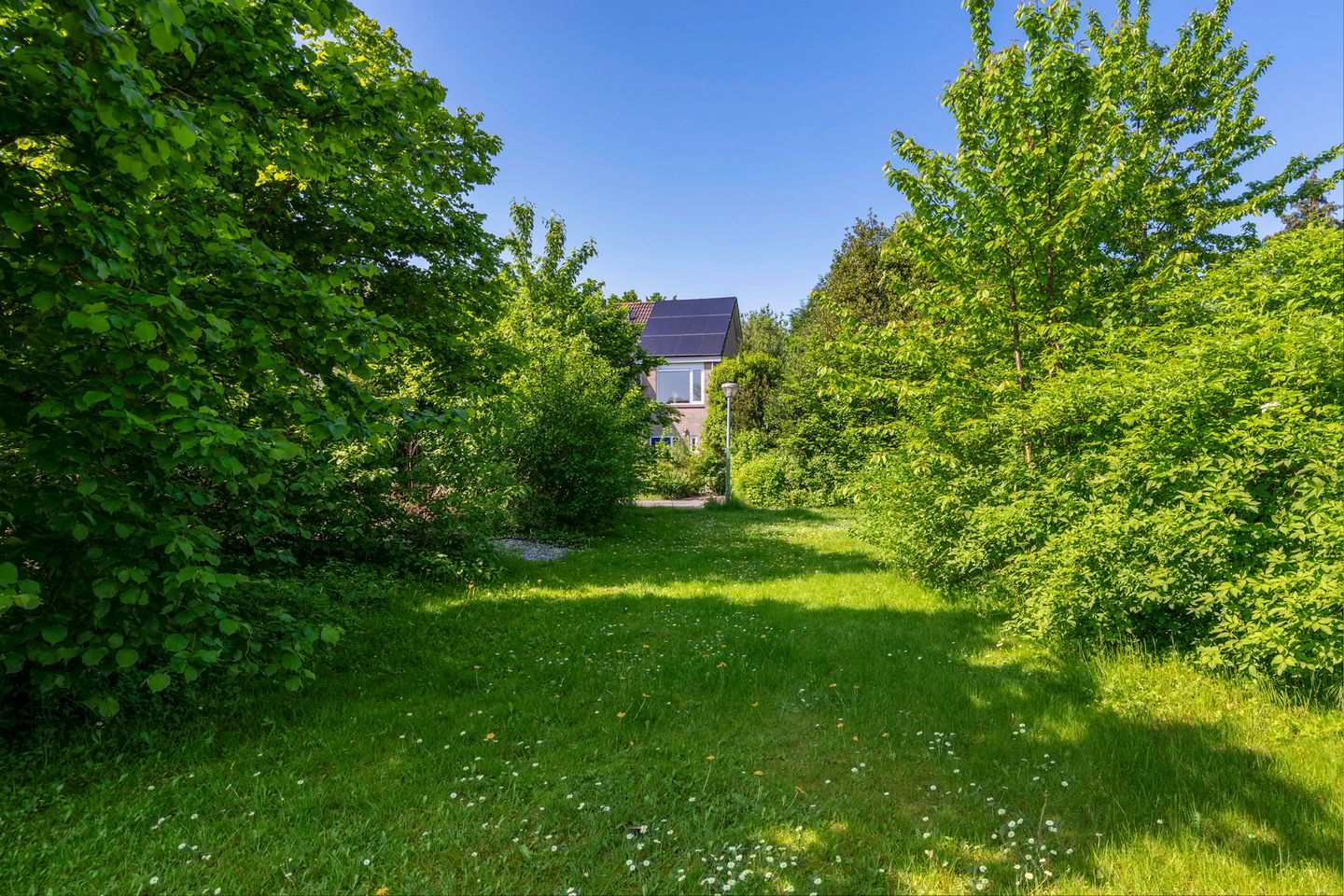 Photo 34 of Kogge 09 7