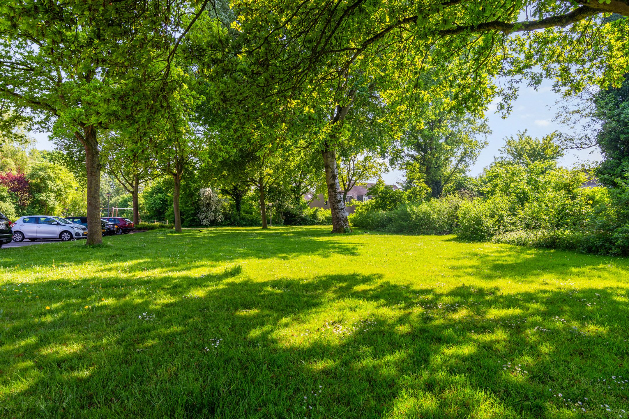 Photo 36 of Kogge 09 7