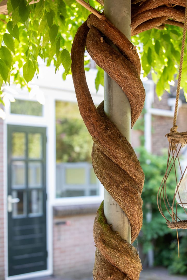 Foto 54 van Dikkeboomweg 28