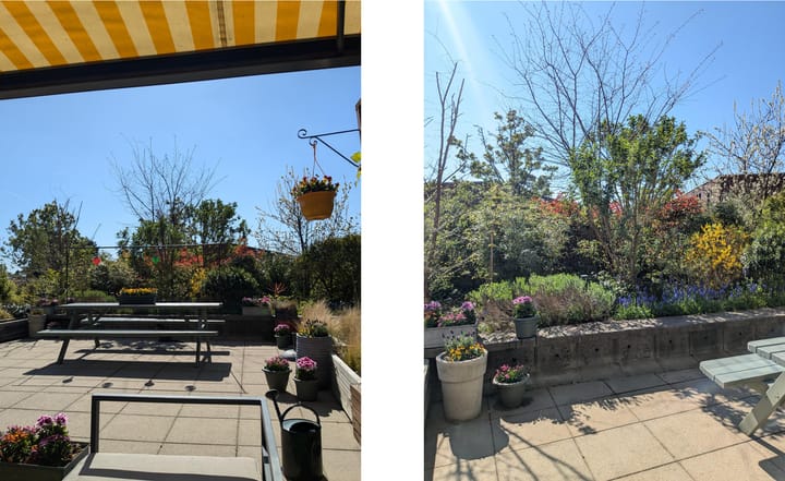 Foto 14 van Volendamlaan 1176