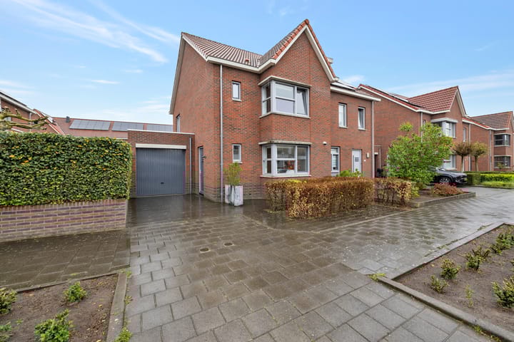 Foto 1 van Buizerd 106