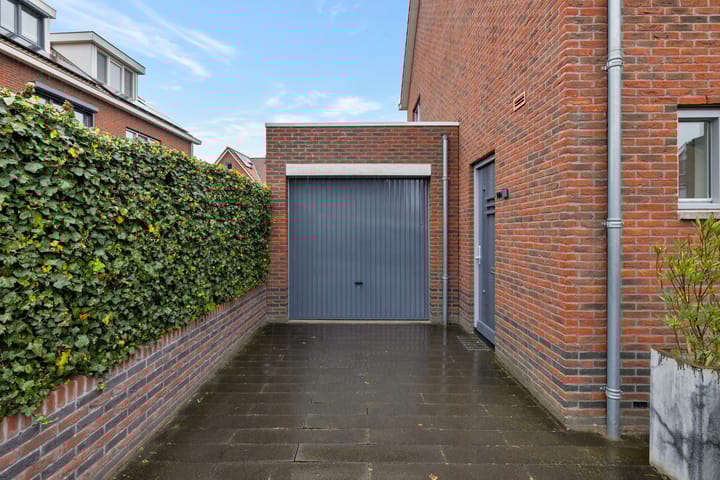 Foto 2 van Buizerd 106