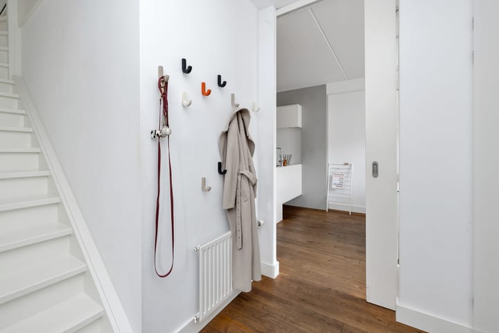 Foto 3 van Buizerd 106