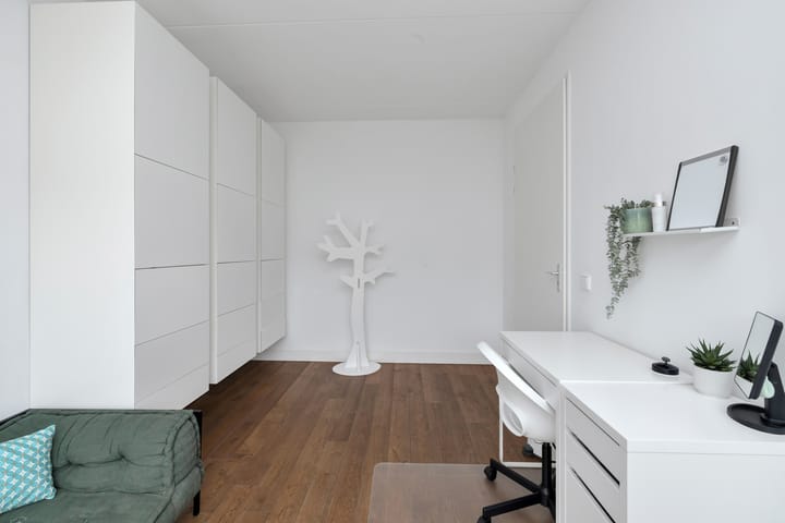 Foto 27 van Buizerd 106