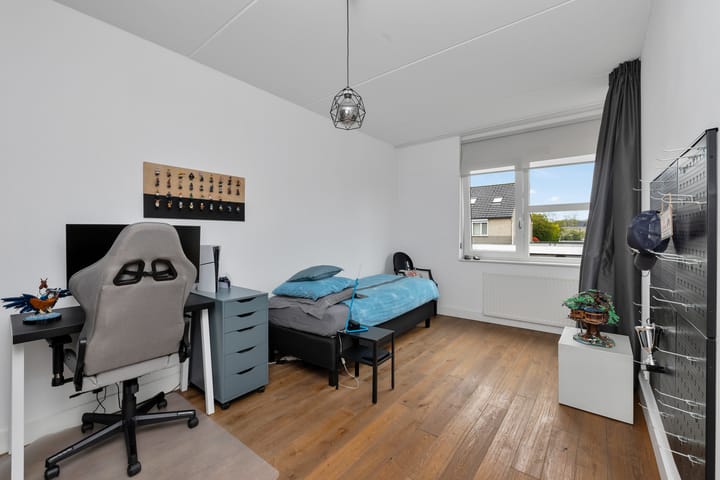 Foto 28 van Buizerd 106