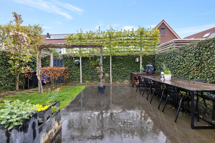 Foto 40 van Buizerd 106