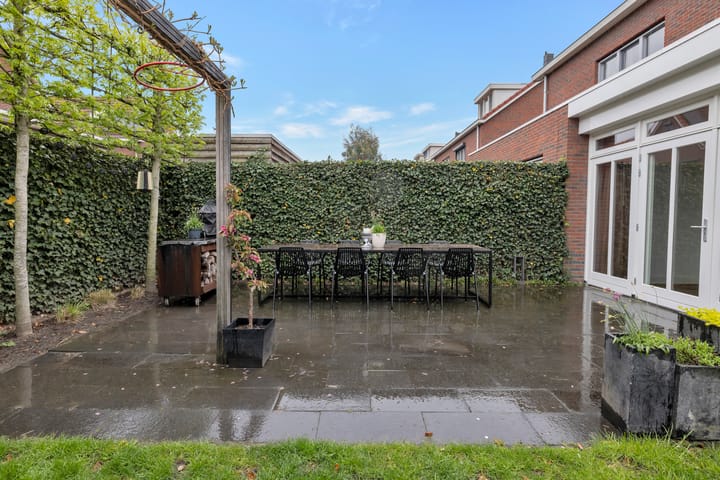 Foto 44 van Buizerd 106