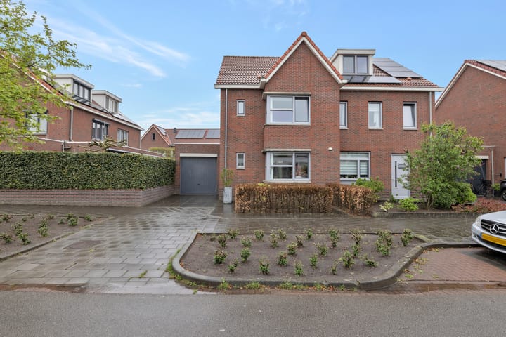 Foto 45 van Buizerd 106